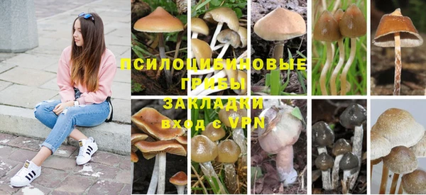 прущие крисы Володарск