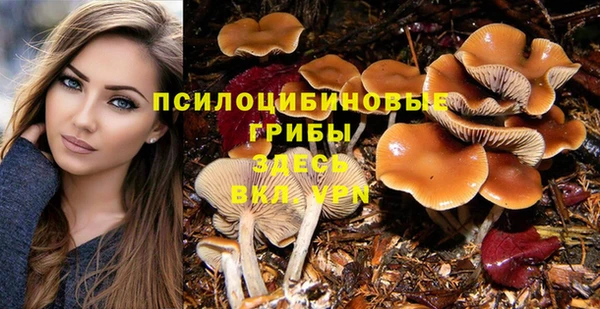 спайс Волосово